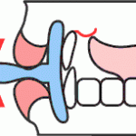 trb_lippen